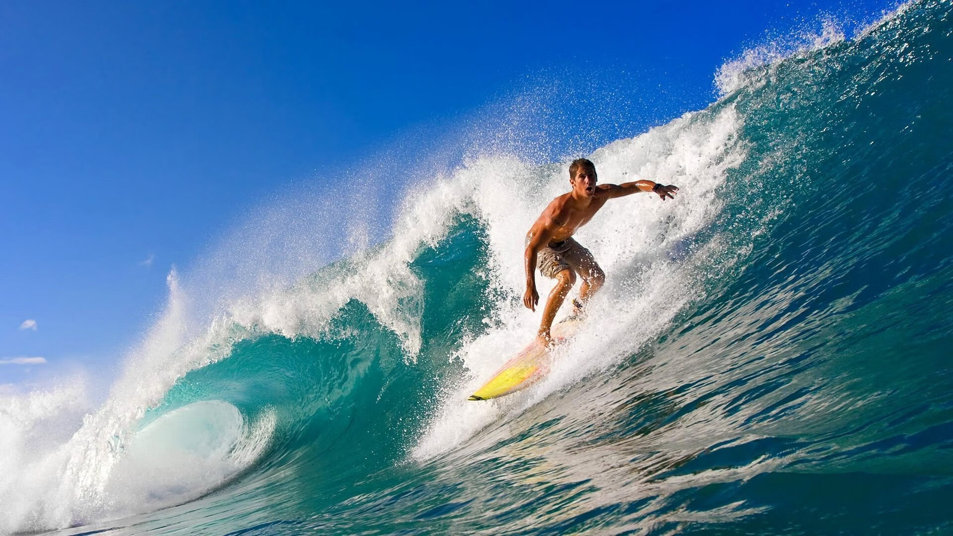 山地车越野挑战赛,追求速度与激情的完美结合,山地车越野比赛视频